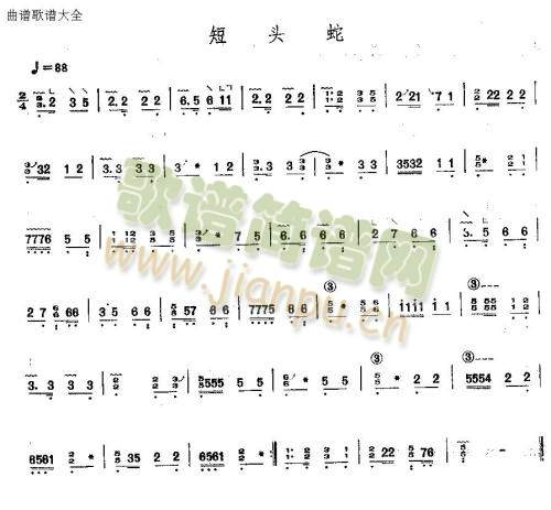 短头蛇(古筝扬琴谱)1