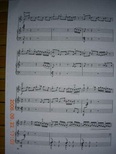 第三二胡狂想曲9-18(其他)8