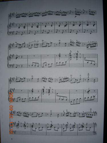 第三二胡狂想曲1-8(其他)7