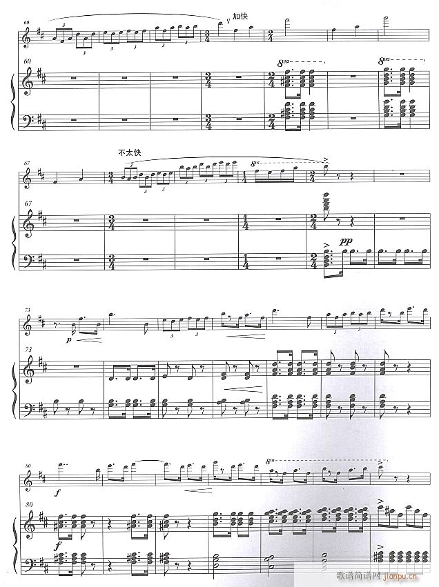 台湾情怀 长笛独奏 5(笛箫谱)1