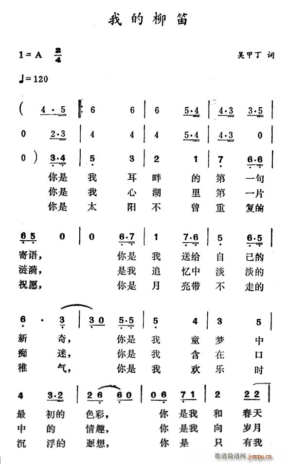 我的柳笛(笛箫谱)1