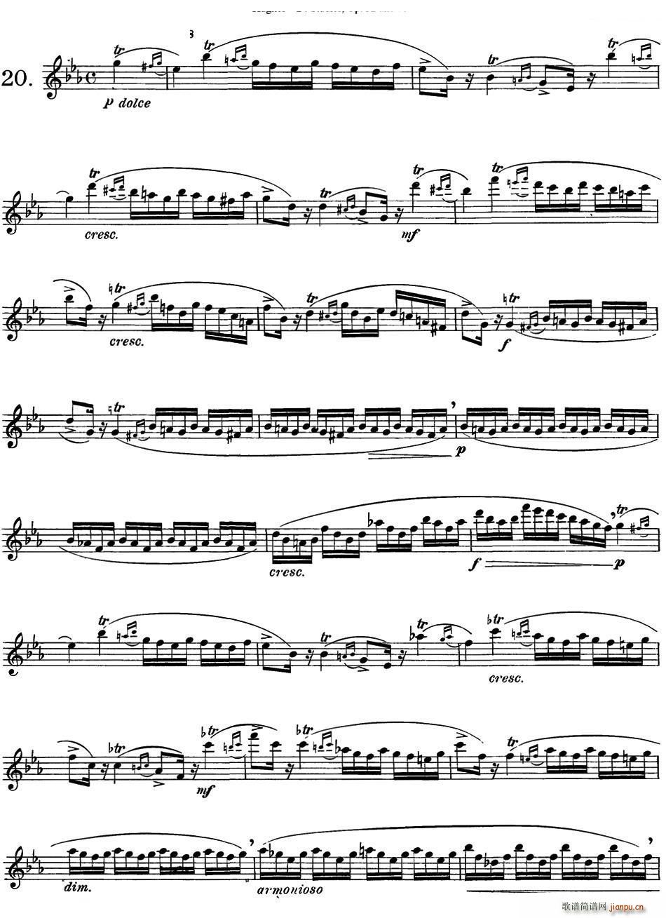 胡埃斯24首长笛练习曲Op 32 NO 20(笛箫谱)1