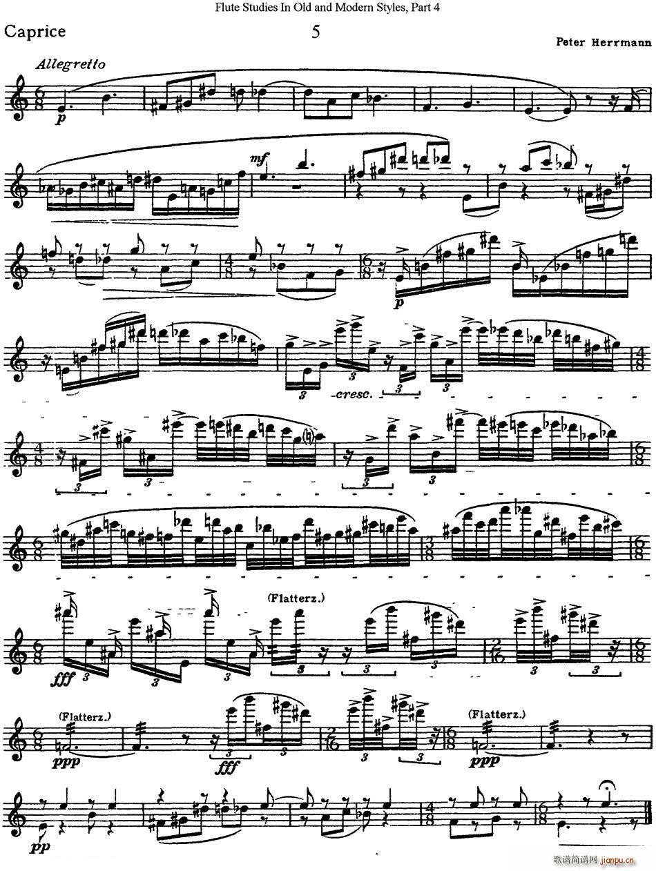 斯勒新老风格长笛练习重奏曲 第四部分 NO 5(笛箫谱)1