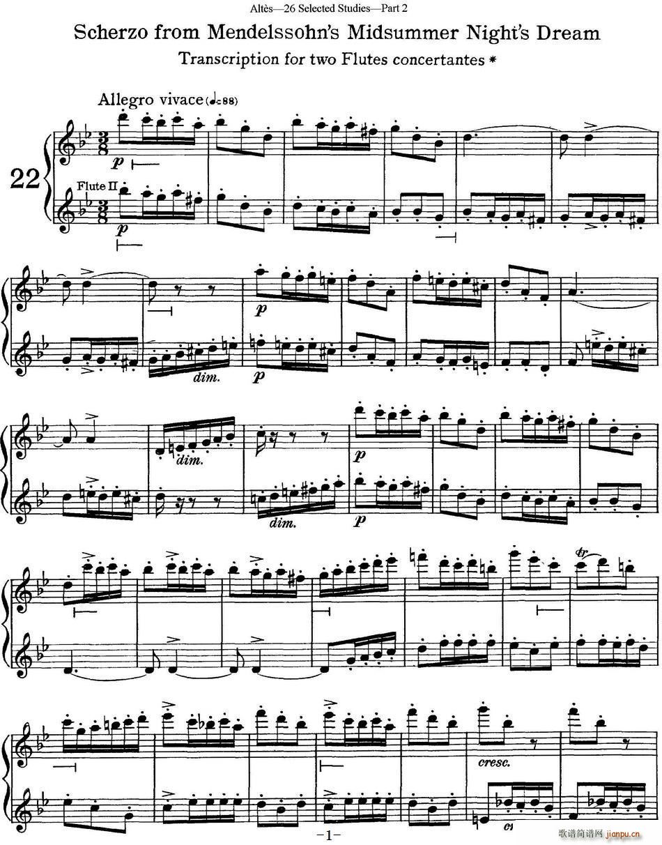 阿尔泰斯26首精选长笛练习曲 NO 22(笛箫谱)1