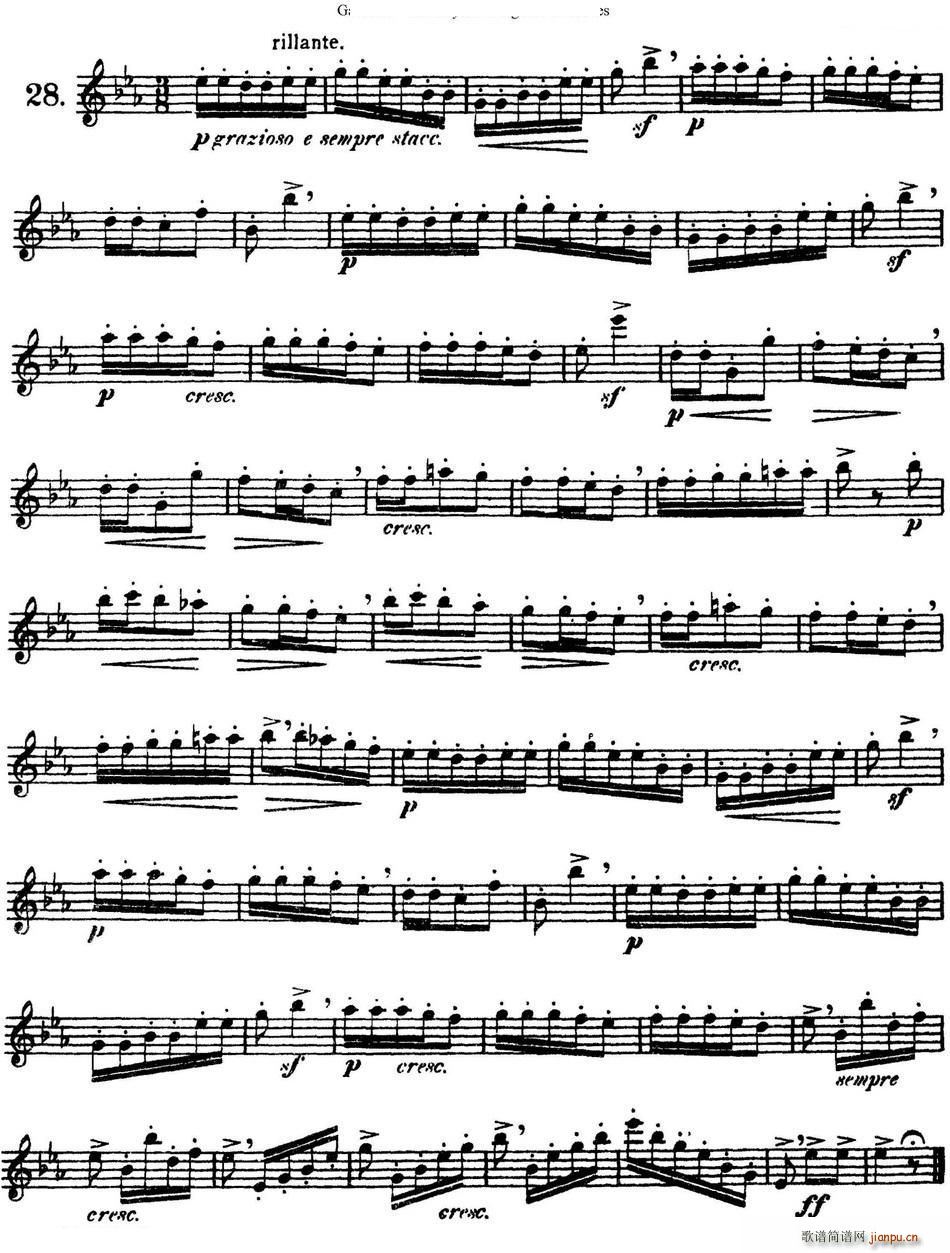 三十首基础及提高练习曲 NO 28(笛箫谱)1