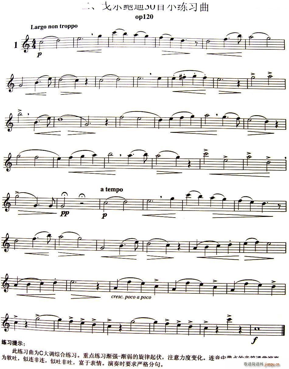 三十首小练习曲作品120号 NO 1(笛箫谱)1