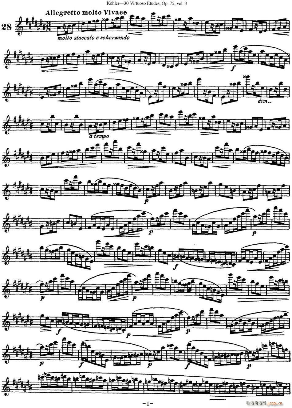 柯勒30首高级长笛练习曲作品75号 NO 28(笛箫谱)1