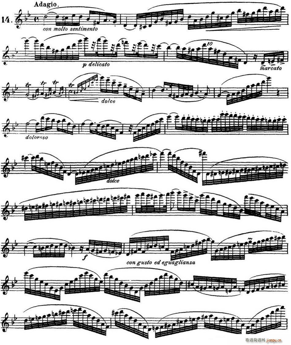 柯勒30首高级长笛练习曲作品75号 NO 14(笛箫谱)1