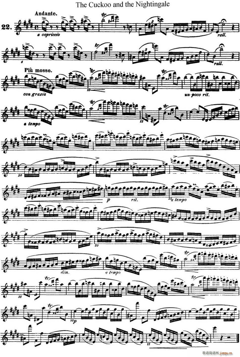 柯勒25首浪漫长笛练习曲作品66号 NO 22(笛箫谱)1