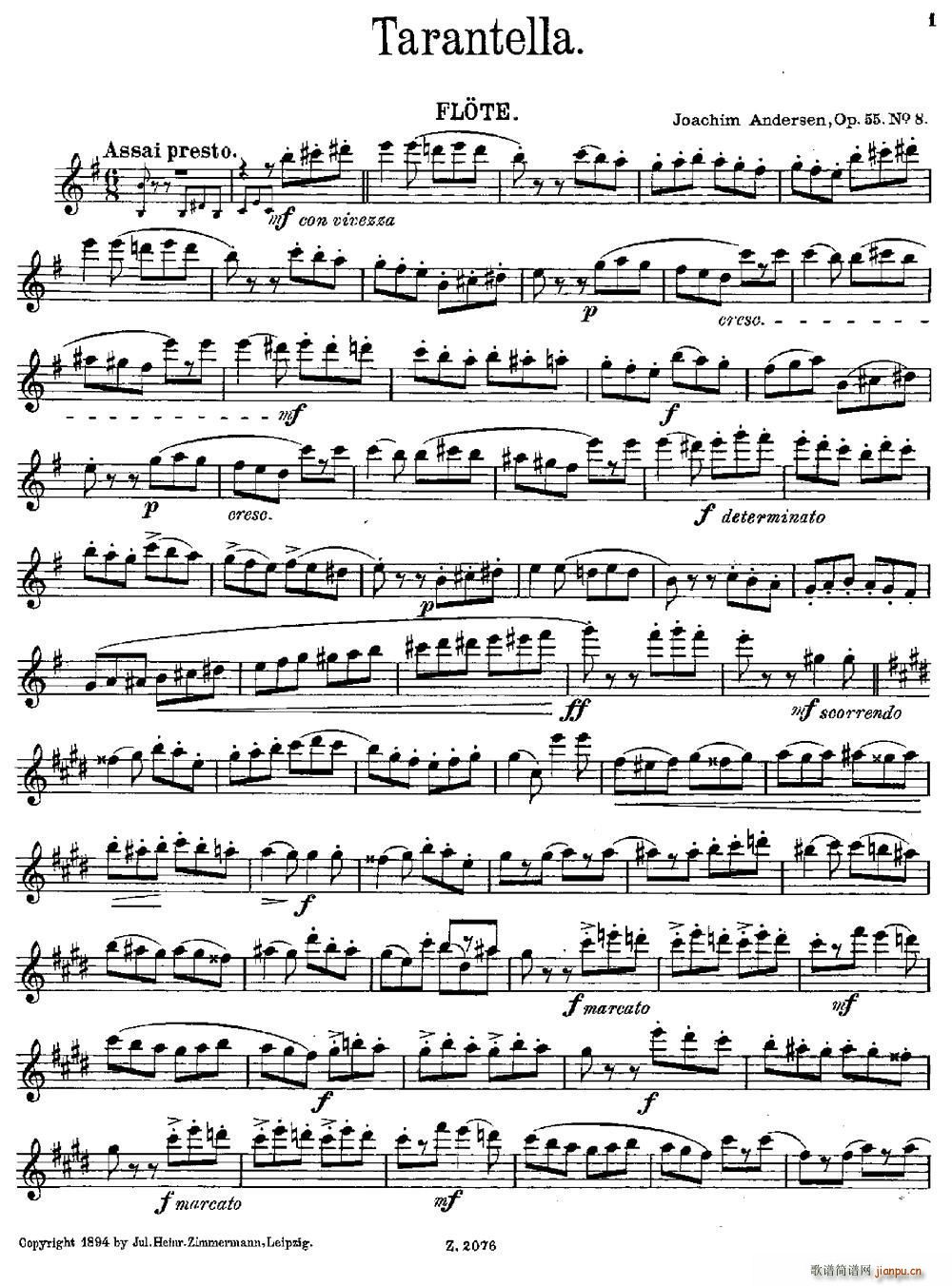Tarantelle Op 55 No 8(笛箫谱)1