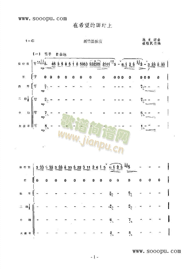 在希望的田野上民乐类竹笛(其他乐谱)1
