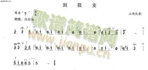 割荞麦(笛萧谱)1