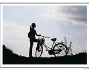 东方灵燕子(其他)1