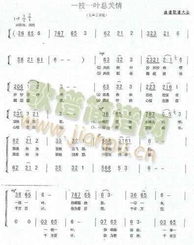 一枝一叶总关情(其他)1