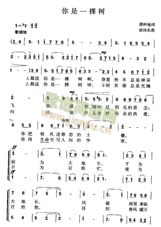 你是一棵树(其他)1