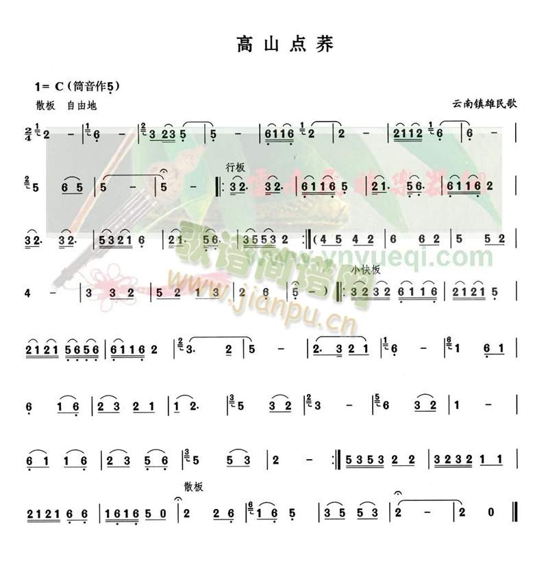 高山点荞(其他)1