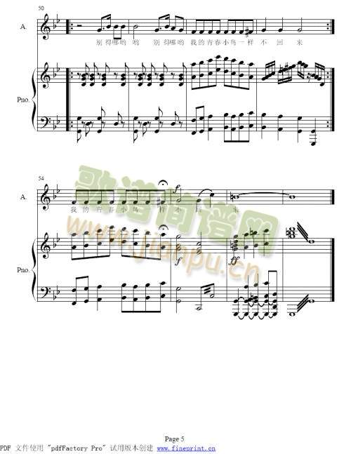 青春舞曲(其他)5