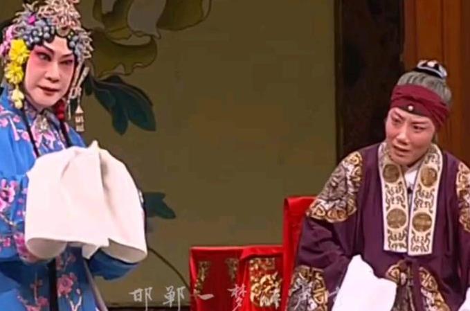 本应该随母亲镐京避难-魏海敏表演的京剧唱段-出自剧目《凤还巢》