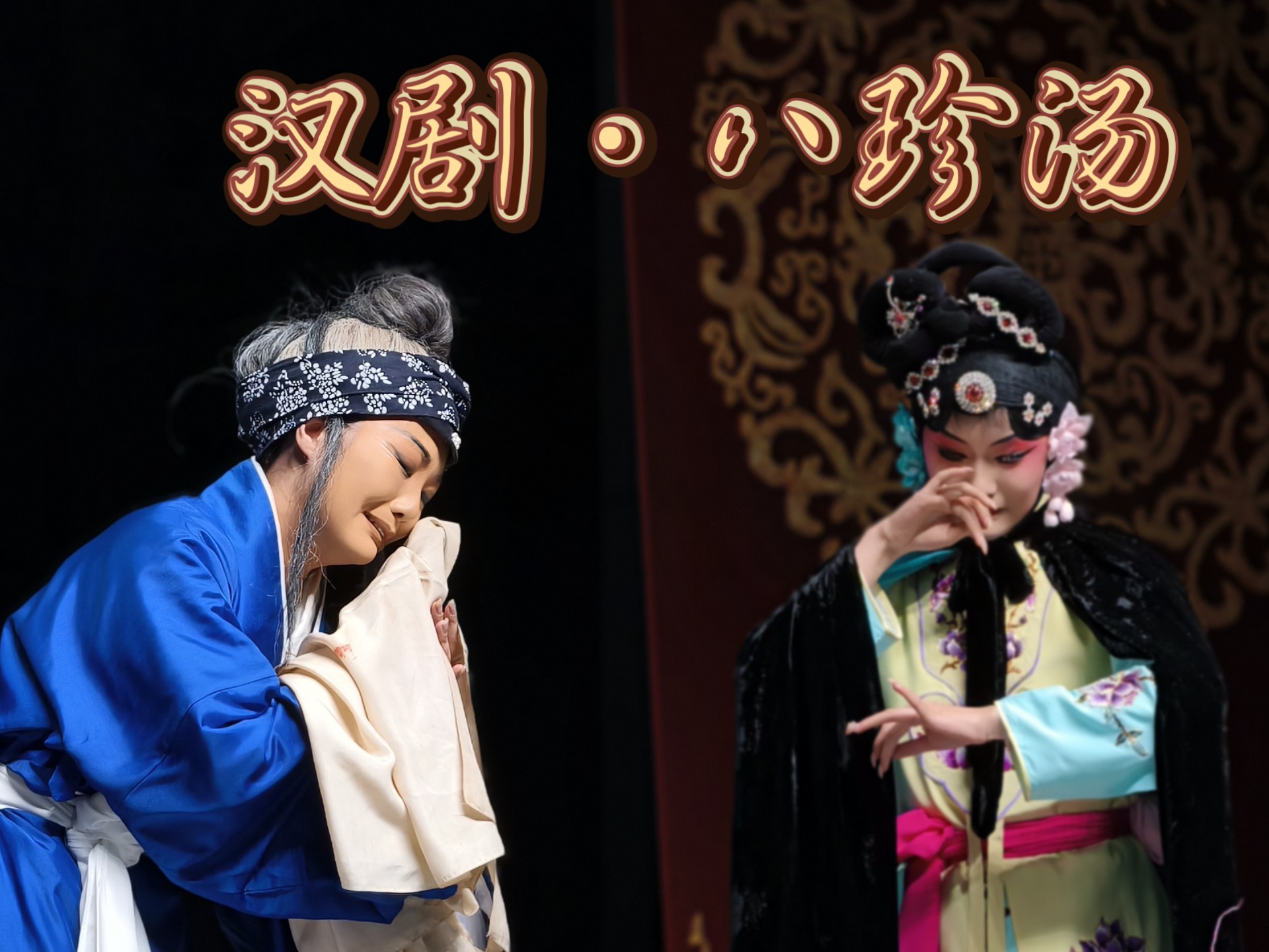 问苍天我欠下了何人业怨-京剧剧目《八珍汤》中的经典选段-翟墨演唱