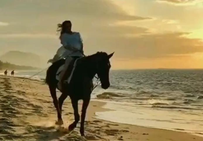 《沸腾的生活》主题曲(电子琴 )