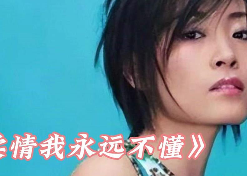 你的柔情我永远不懂电子琴