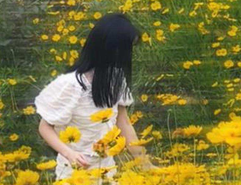 采花(二胡扬琴演奏谱)(扬琴伴奏谱)