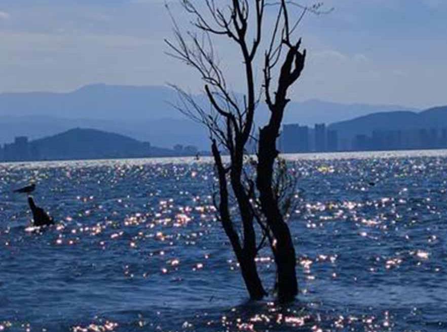 风花雪月〔玉箫声处〕 曲:孟庆华 葛瑞莲 李政成演唱