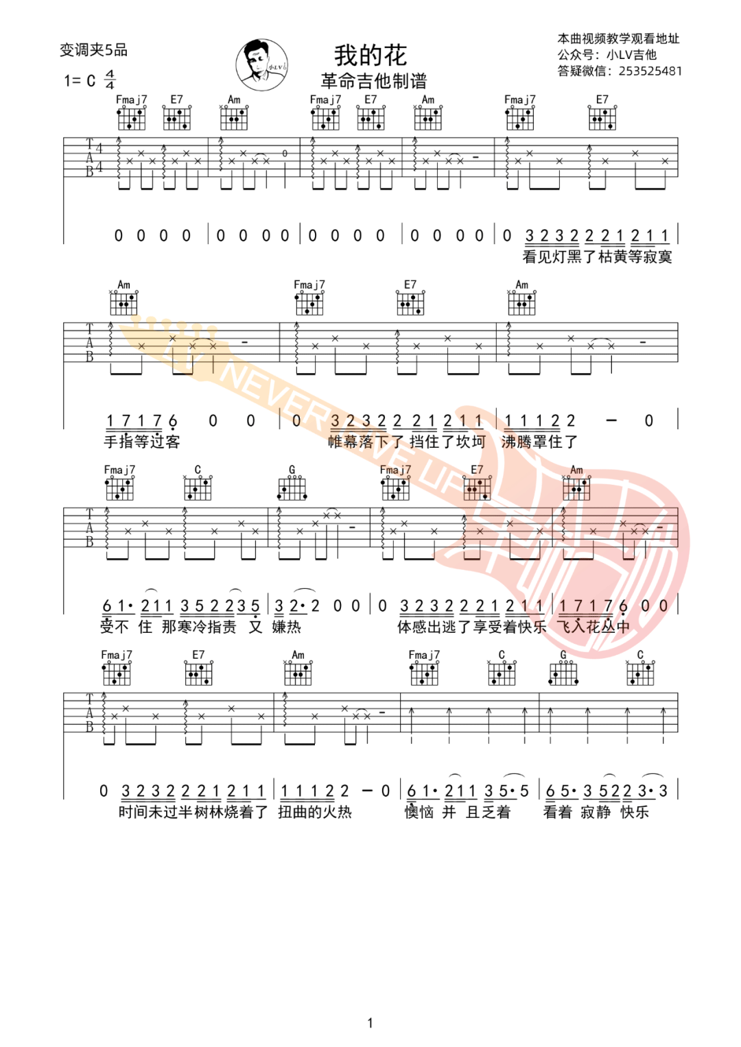我的花吉他谱1-要不要买菜