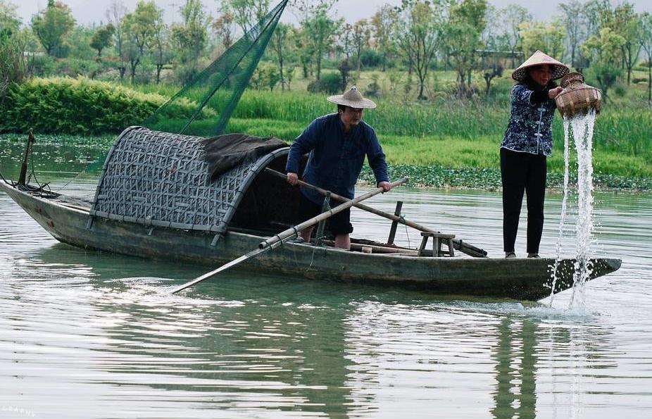 农夫渔夫指弹谱_大乔小乔_原版独奏谱_吉他指弹教学