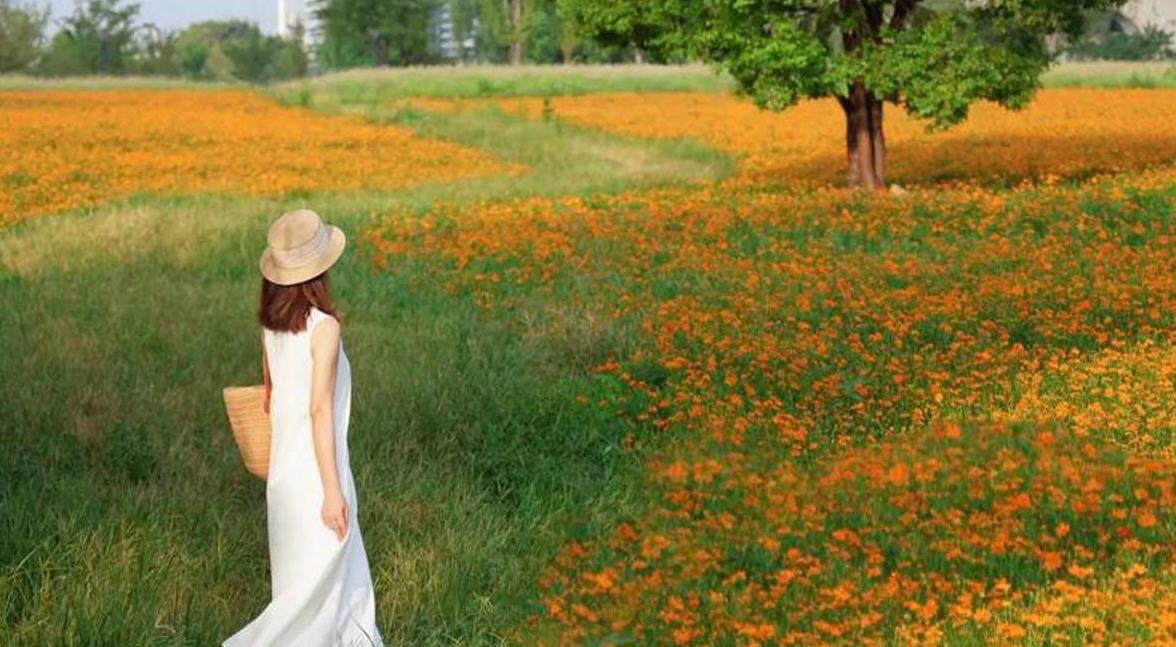 花海指弹吉他谱_周杰伦_原版独奏谱_吉他指弹教学